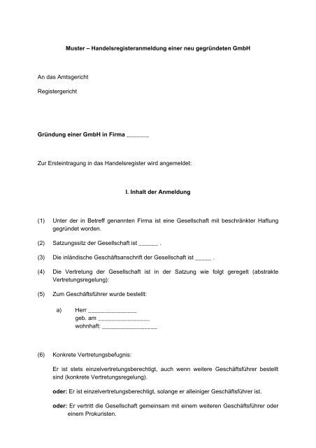 handelsregisteranmeldung example2